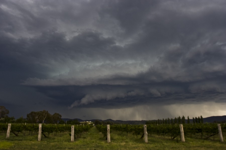Storm cloud base over a vineyard in New South Wales
